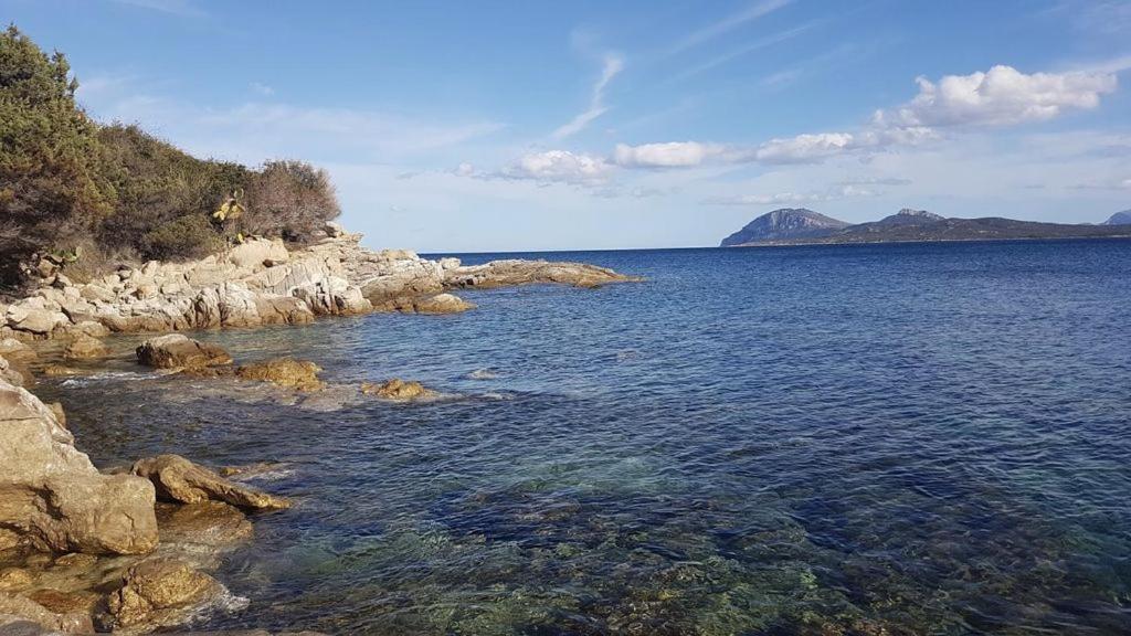 Appartamento A Porto Rotondo - Villaggio Punta Volpe - Iun S5393 Exteriér fotografie