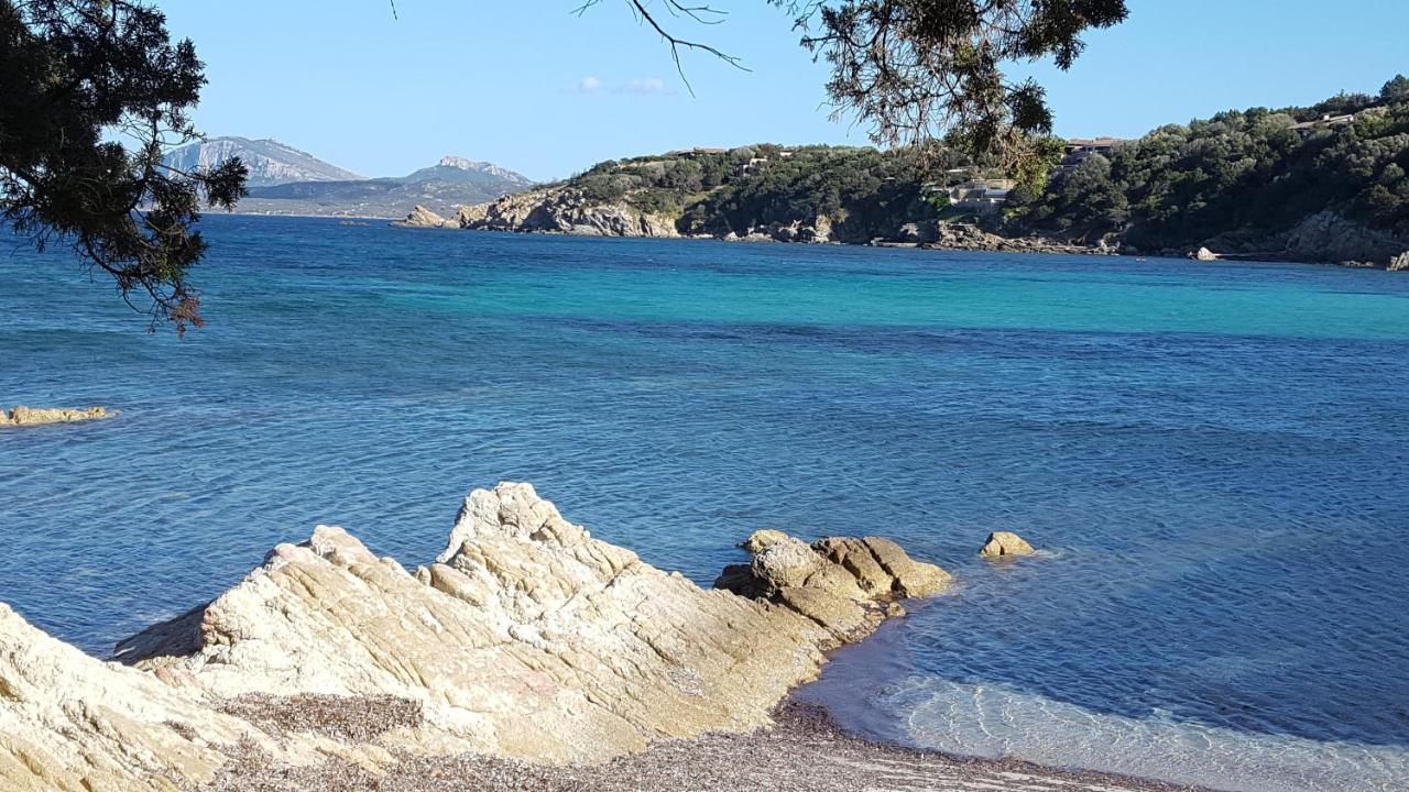 Appartamento A Porto Rotondo - Villaggio Punta Volpe - Iun S5393 Exteriér fotografie